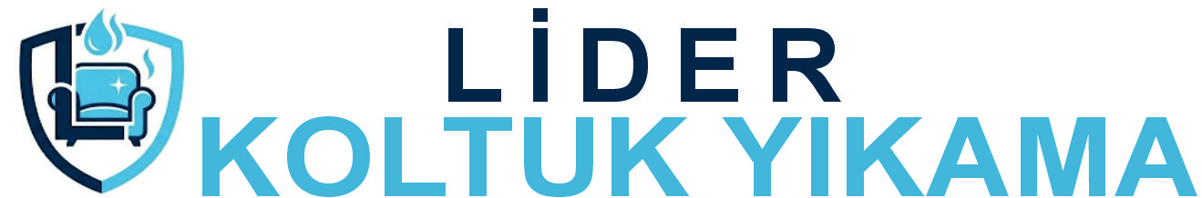 Mersin Lider Koltuk Yıkama