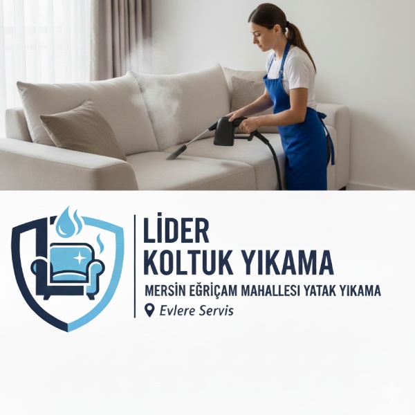 Mersin Eğriçam Bölgesinde Profesyonel Koltuk Yıkama Hizmeti